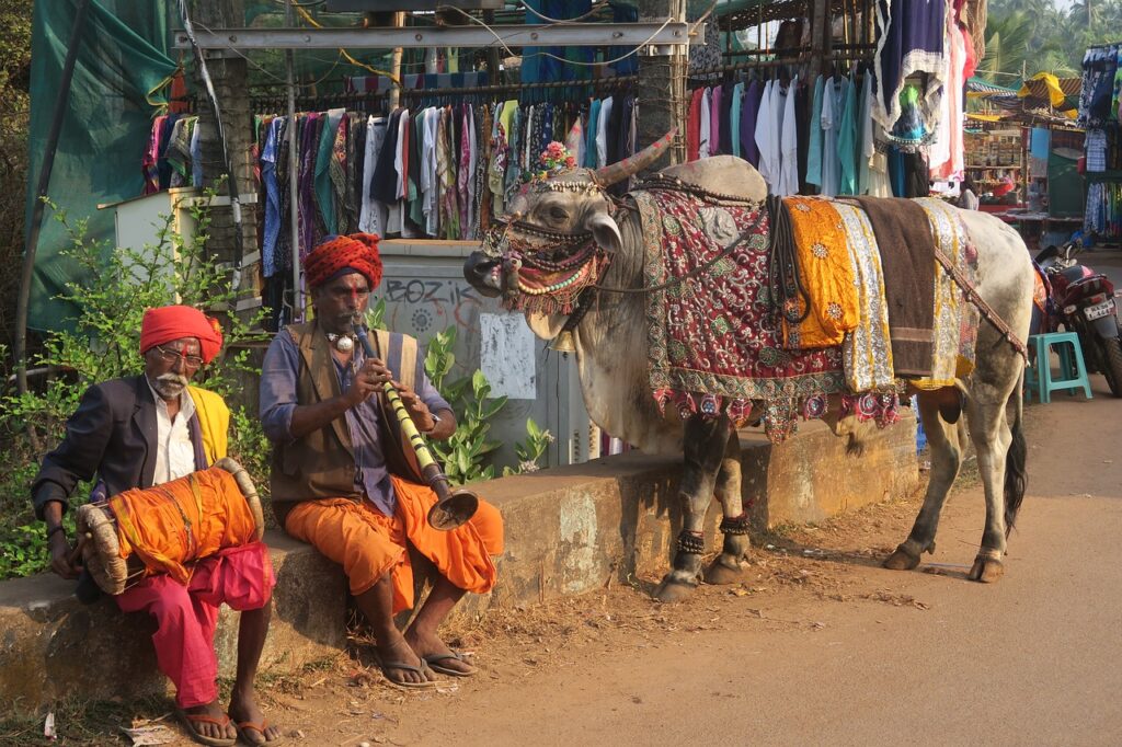cows india sacred krishna