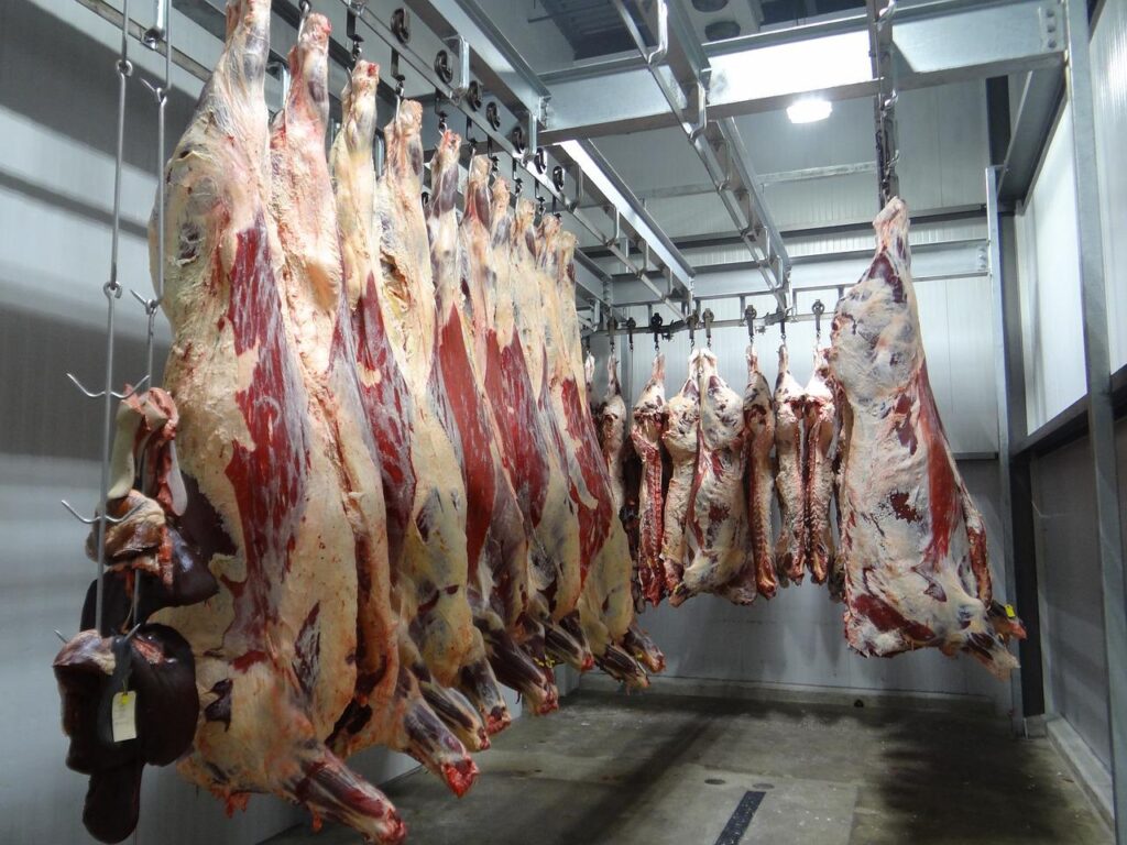 animal slaughter meat