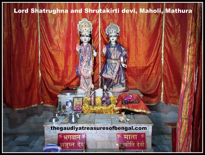 shatrughna temple maholi mathura