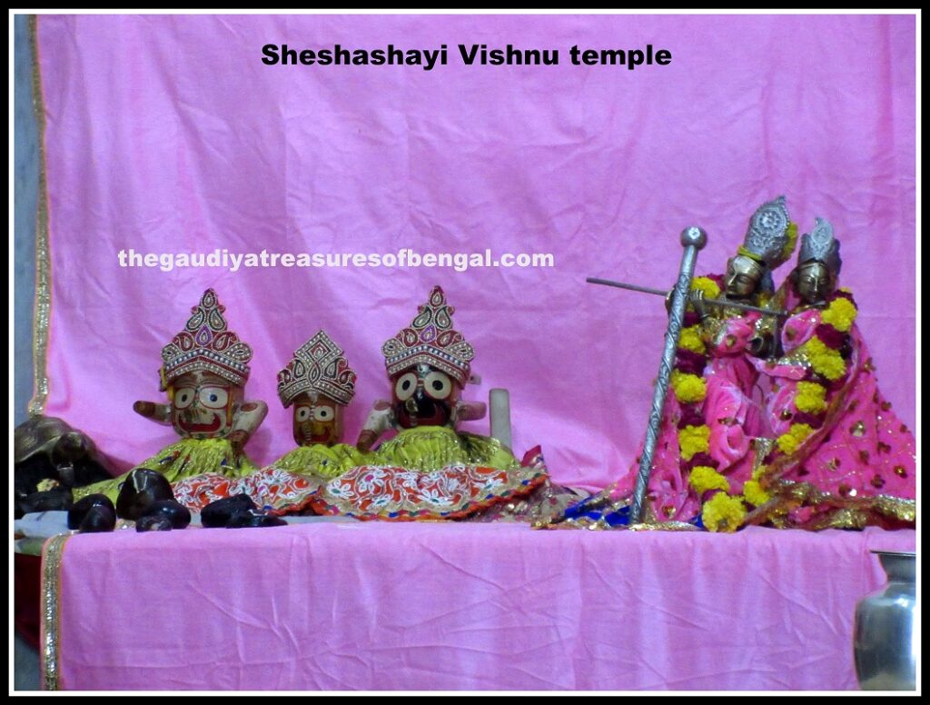sheshashayi jagannath baladeva subhadra