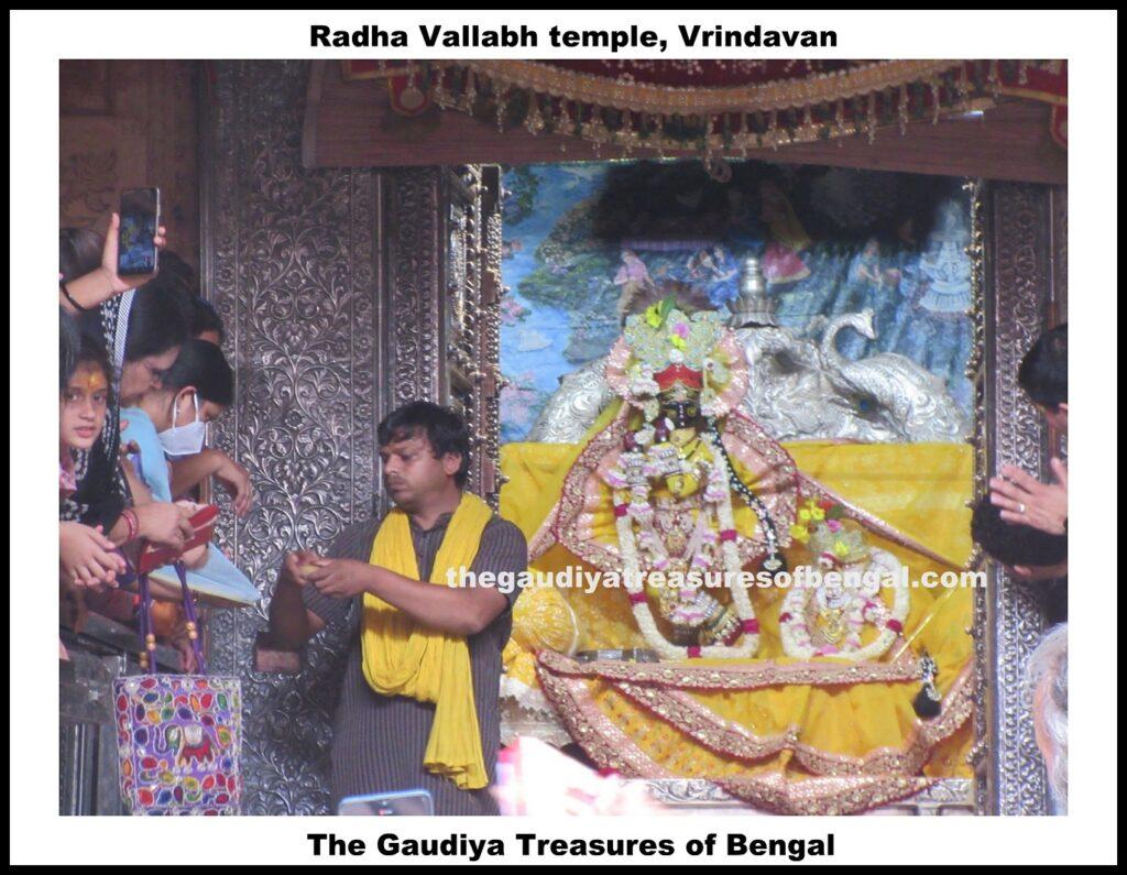 radha vallabh temple vrindavan